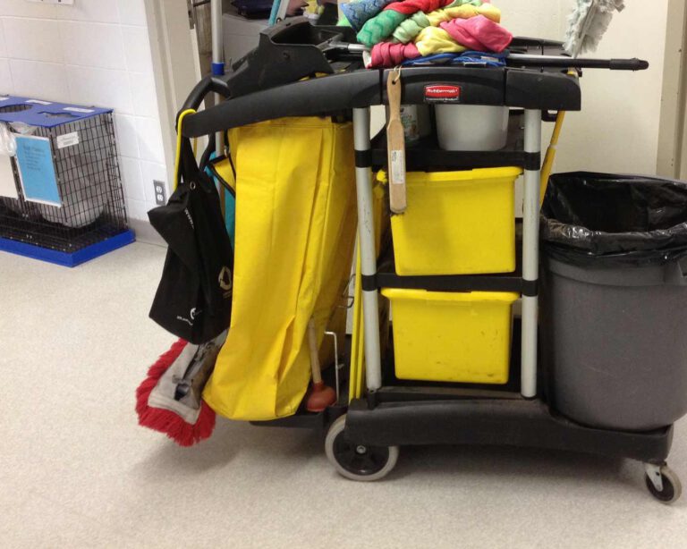 Cleaning floor of veterinarian clinic