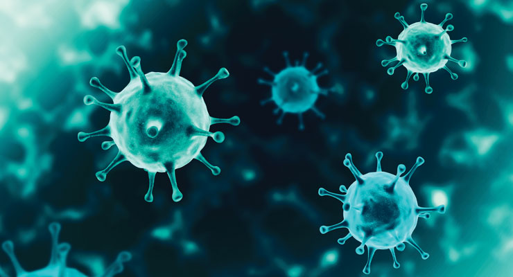 Antimicrobial Coating for Virus Protection