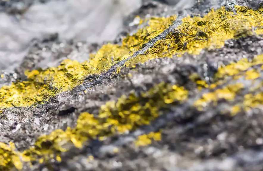 Cyanide Containment in Gold Mines: Ensuring Environmental Safety 1 Gold mine coating cyanide