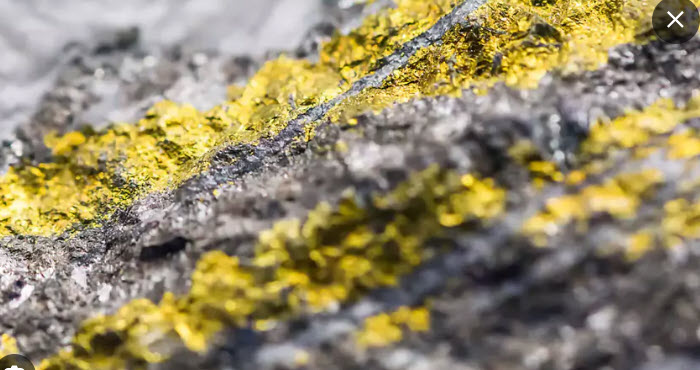 Cyanide Containment Gold Mine Containment 700x370 1