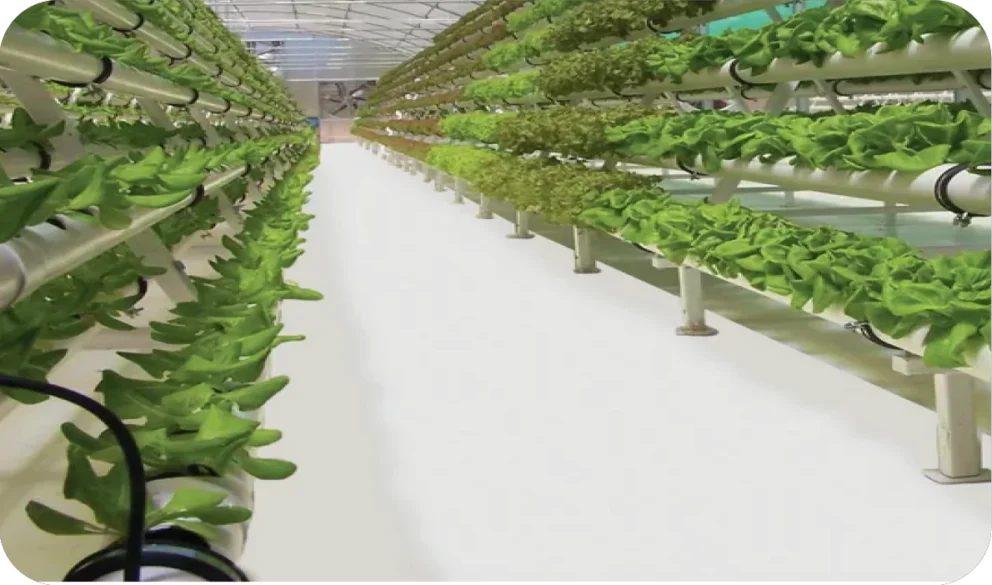 Grow Room Floor Coatings