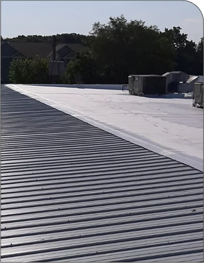 BASPOLYUREA FLAT ROOF WATERPROOFING